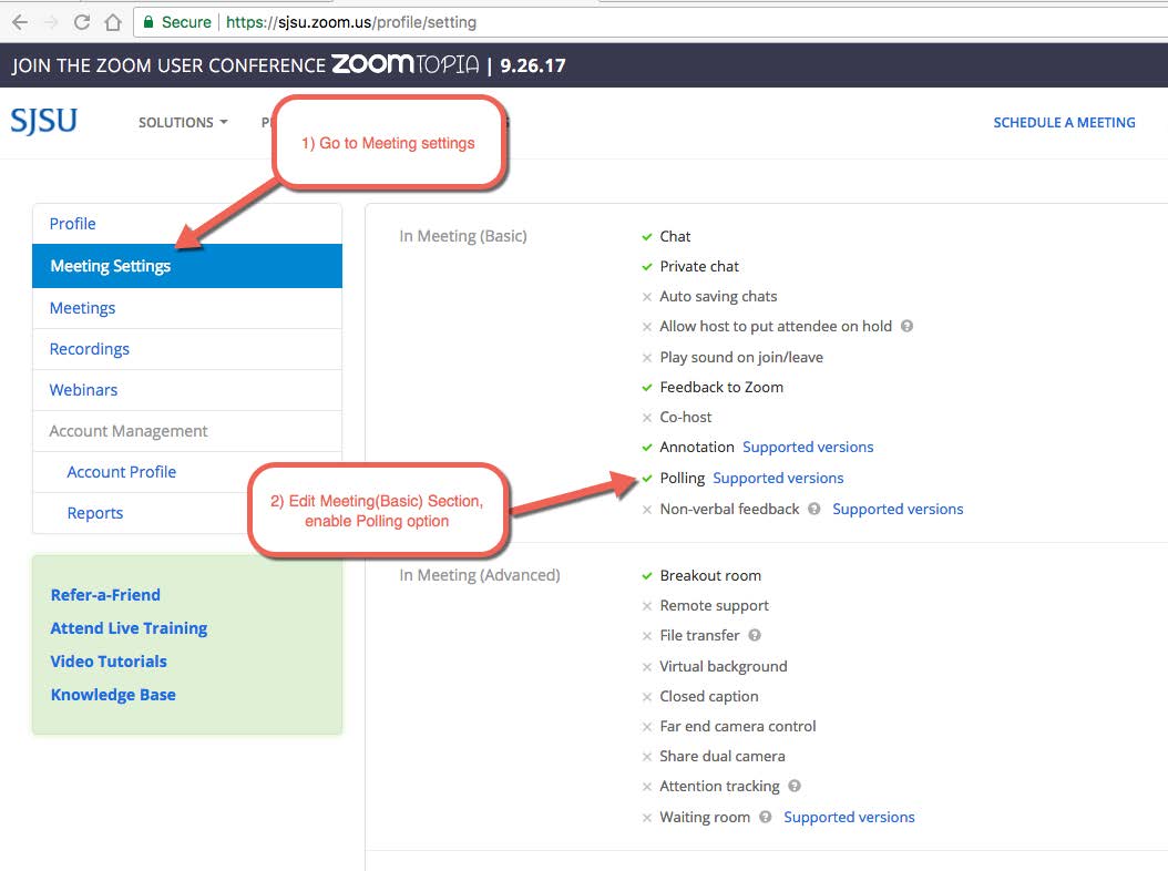 Zoom settings window