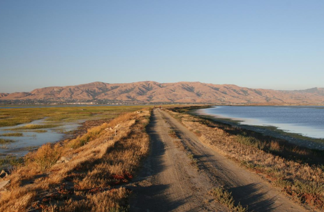 Alviso Marina County Park